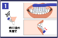 POINT1：歯ブラシの当て方