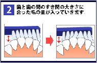 POINT2：歯みがきの基本